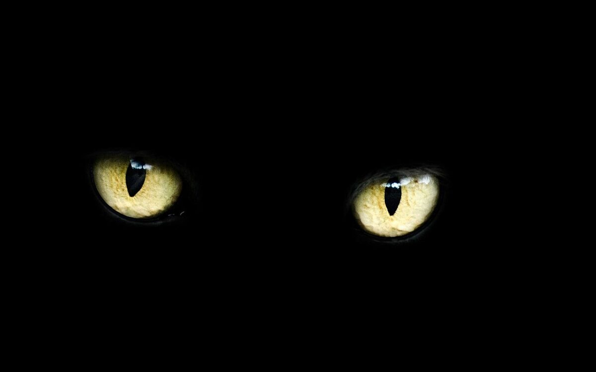 Eyes 218185 1280 Eyes 218185 1280